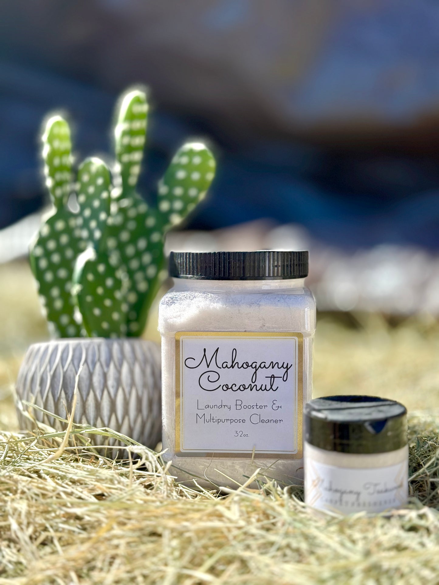 Salty Scent Boosters