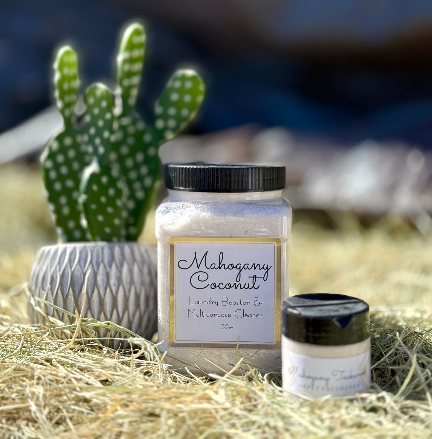 Salty Scent Boosters